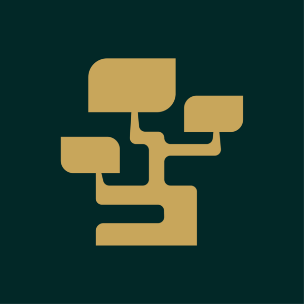 Logo d'équipe BONSAÏ Services Financiers 