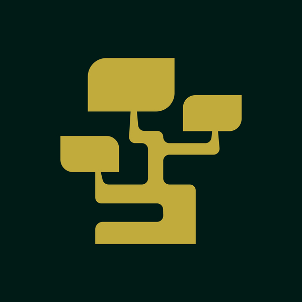 Logo d'équipe BONSAÏ services financiers